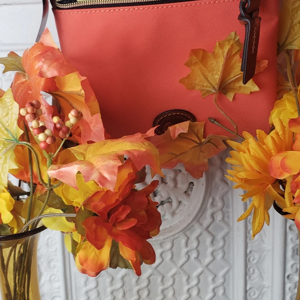Dooney and Bourke Crossbody Bag